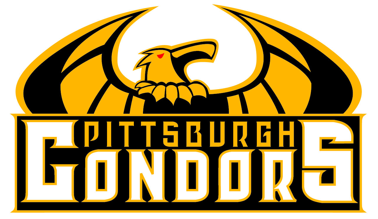 Image result for pittsburgh nba logo"